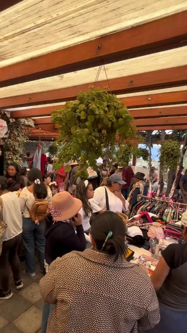 Instagram post from lapulgapicosa. This post is in position 3.