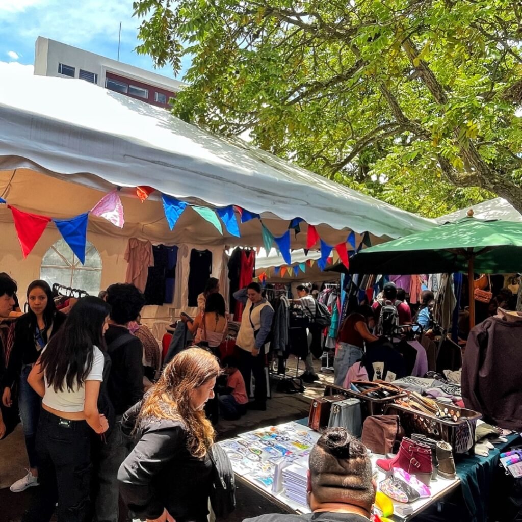 Instagram post from lapulgapicosa. This post is in position 2.