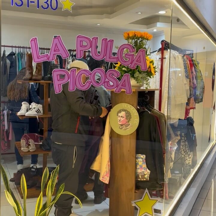 Instagram post from lapulgapicosa. This post is in position 4.