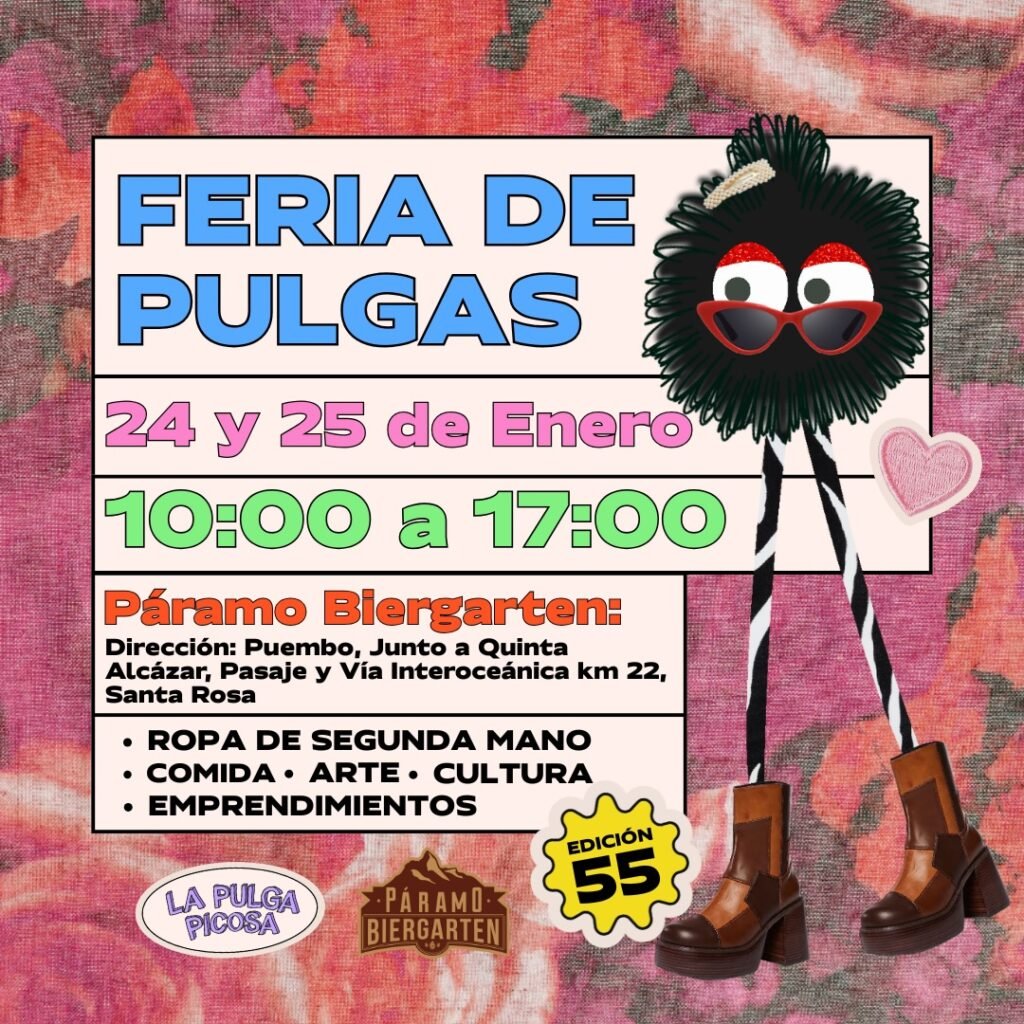 Instagram post from lapulgapicosa. This post is in position 6.