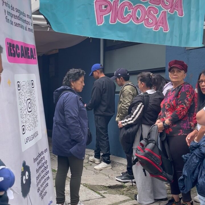 Instagram post from lapulgapicosa. This post is in position 4.