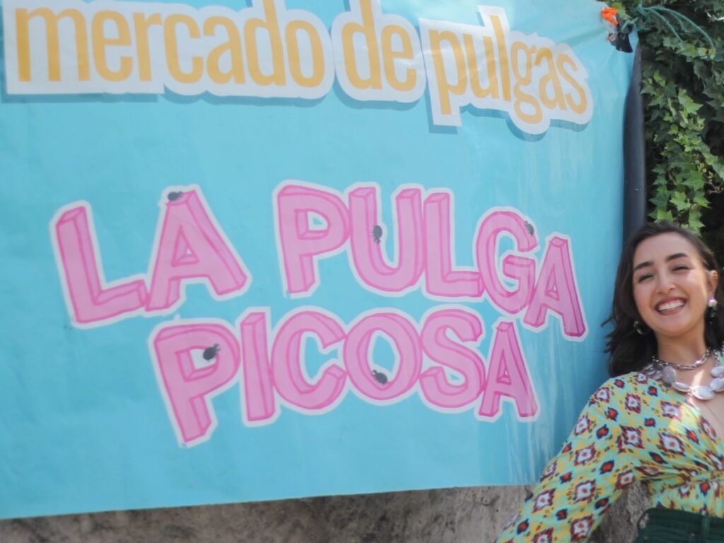 Instagram post from lapulgapicosa. This post is in position 7.